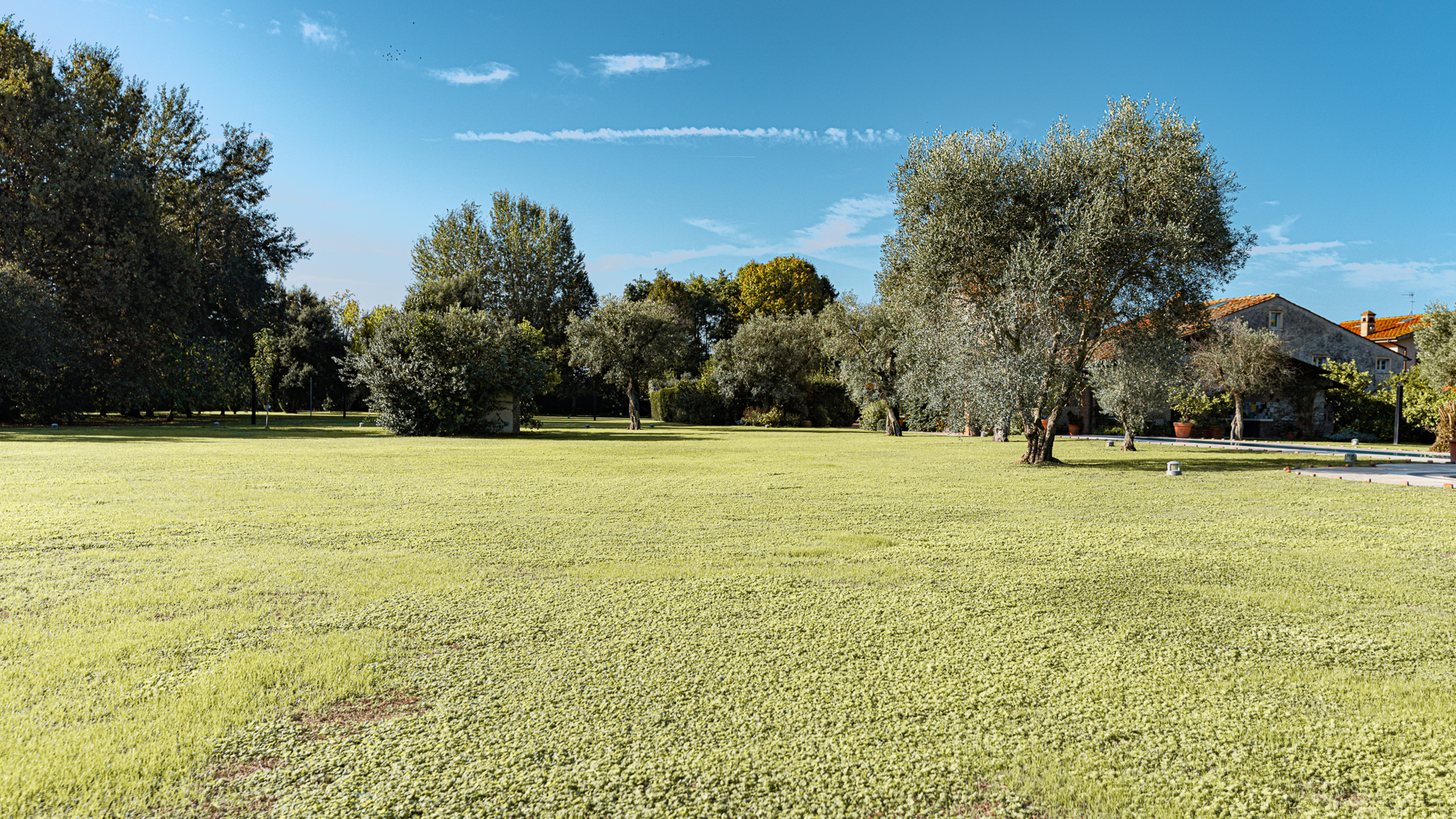 Big Image 14