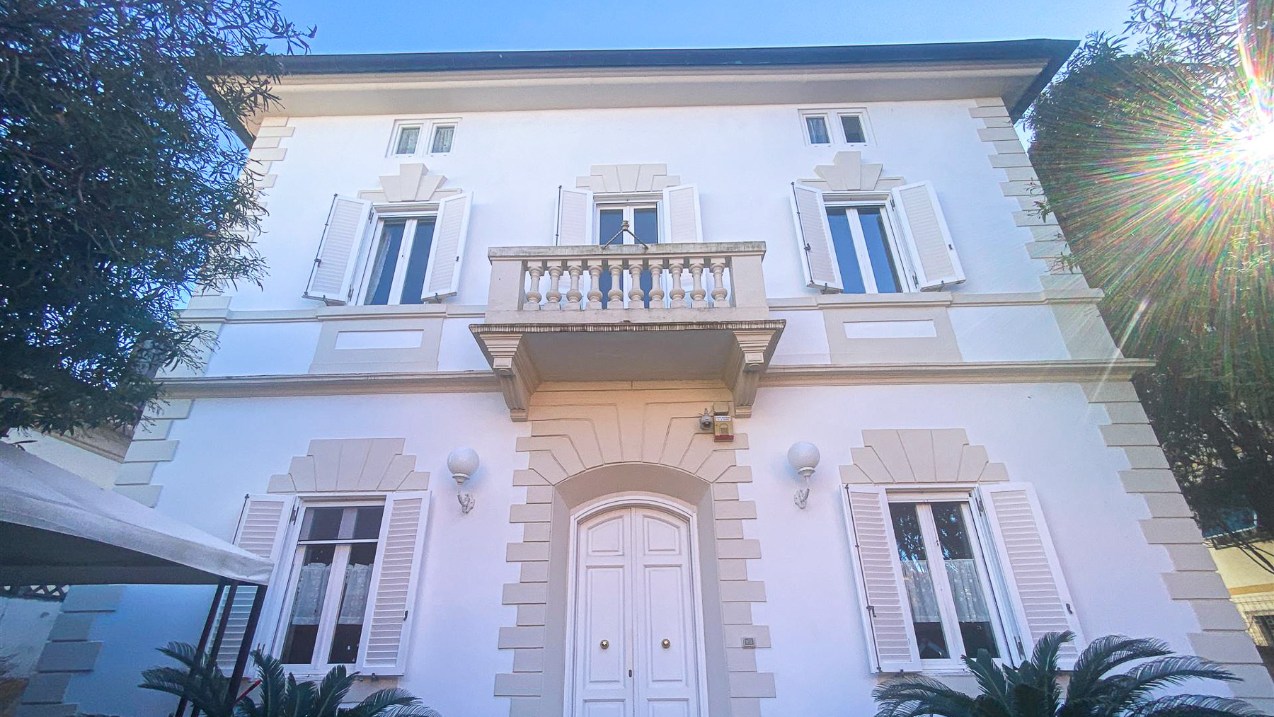Big Image 13