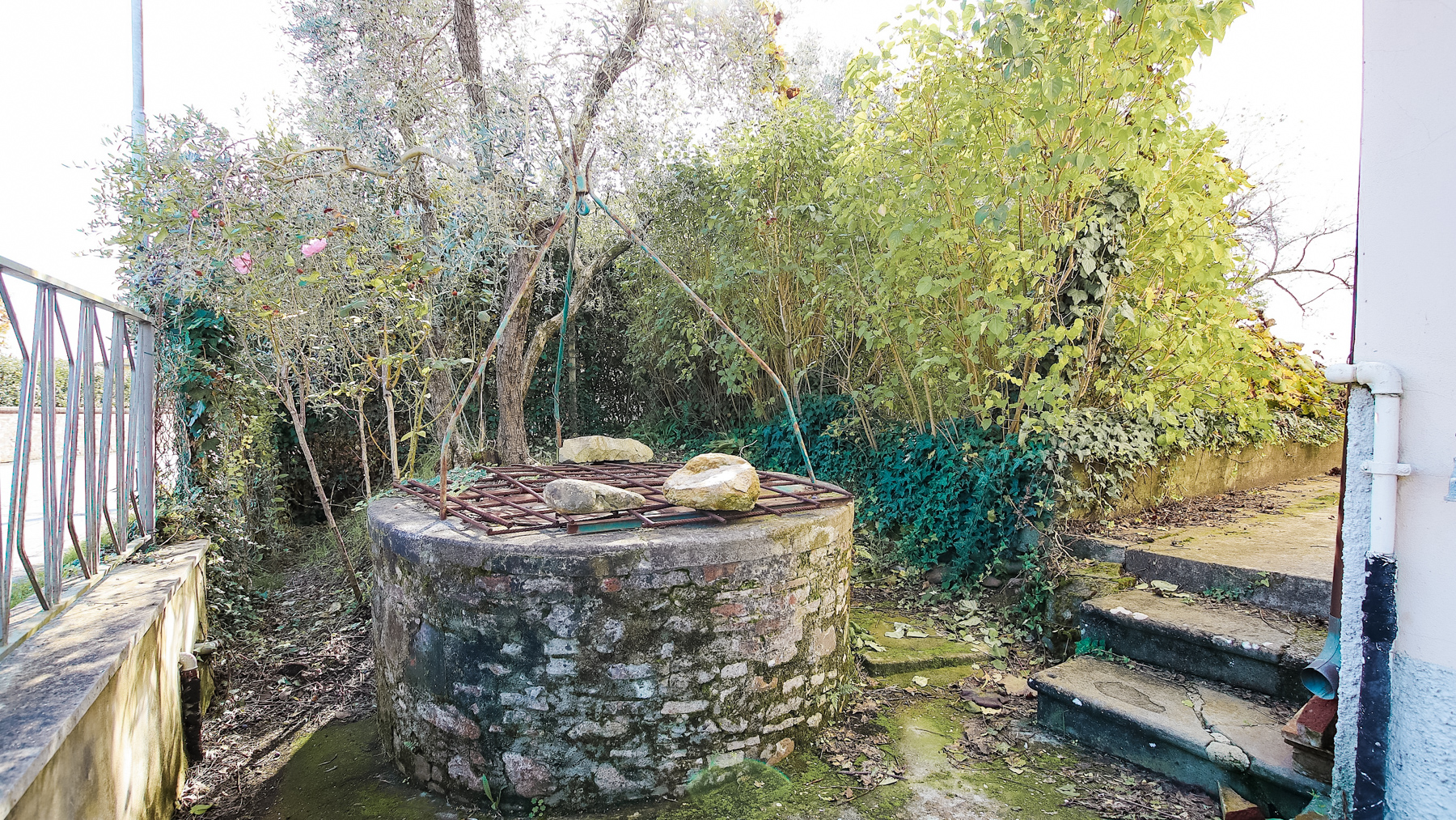 Big Image 23