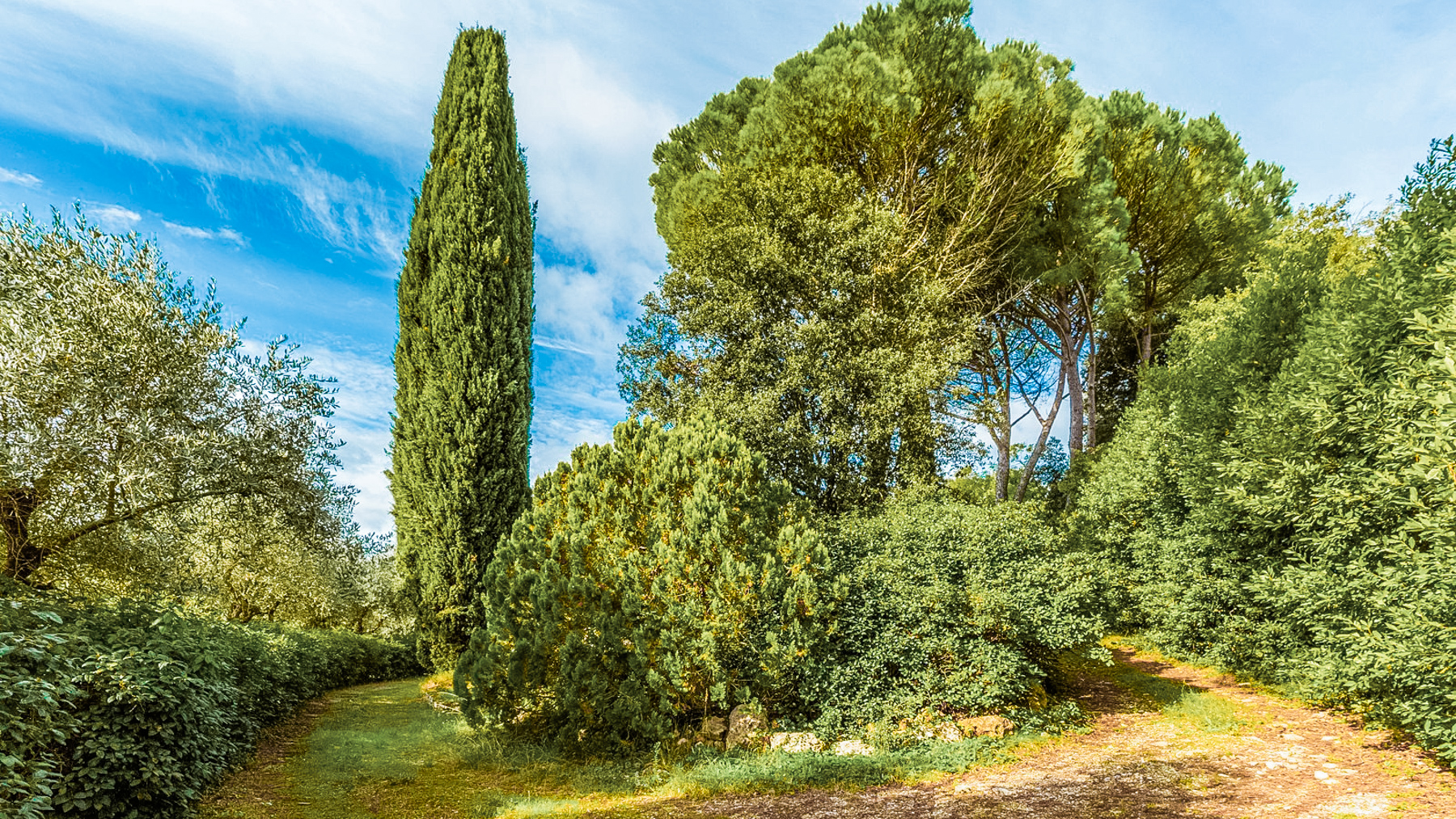 Big Image 14