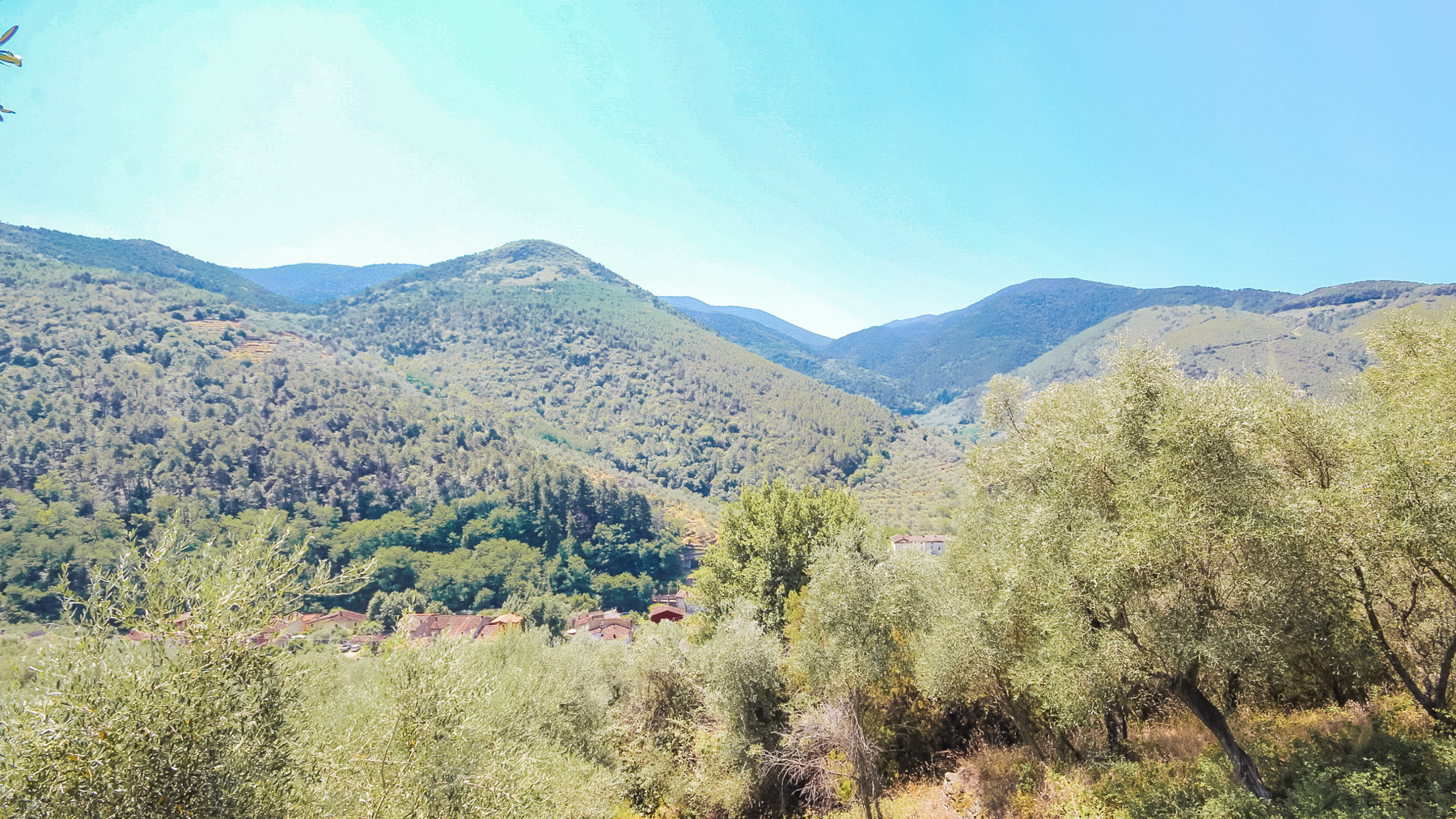 Big Image 22