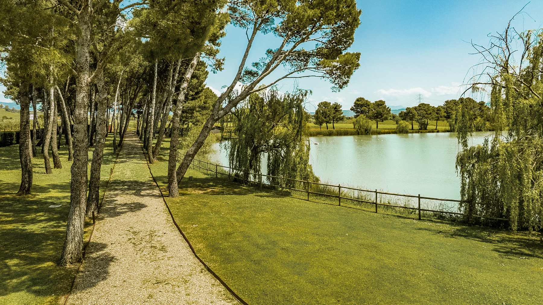 Big Image 14