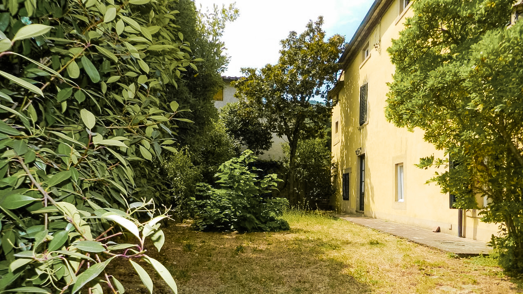 Big Image 14
