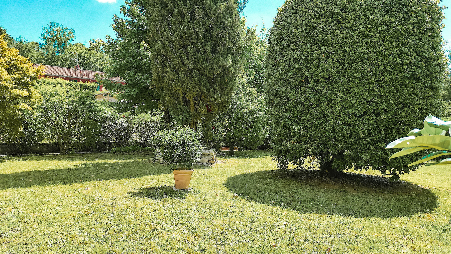Big Image 5