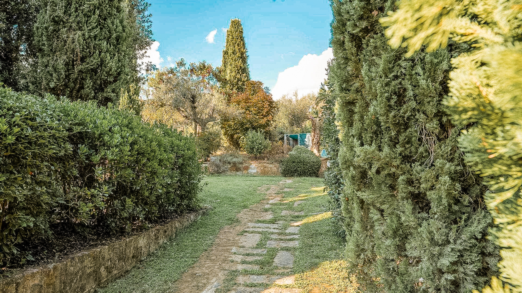 Big Image 18