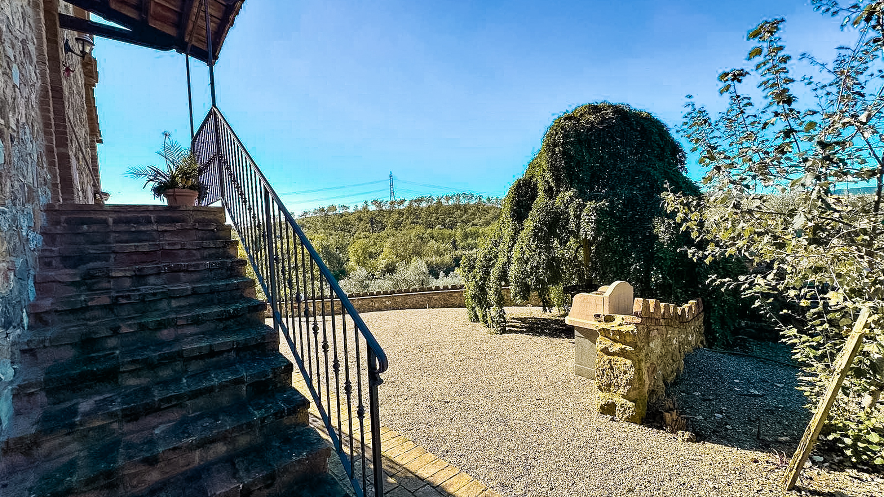 Big Image 15