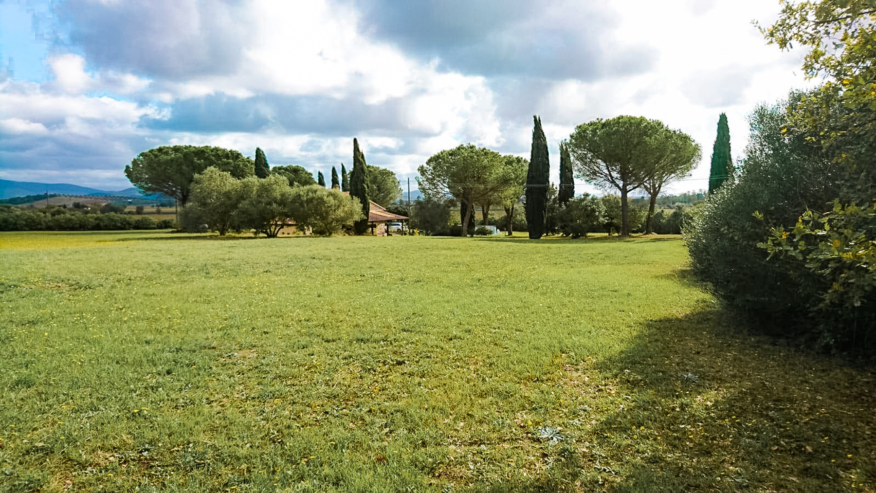 Big Image 14