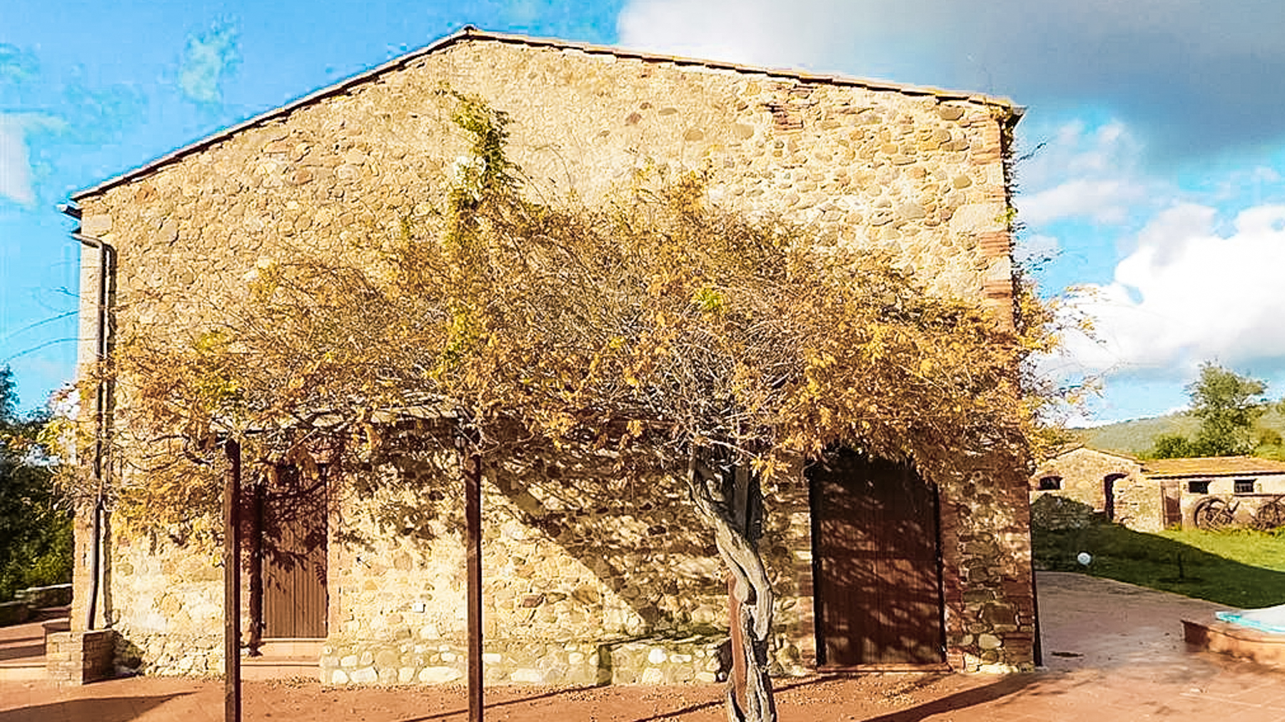 Big Image 11
