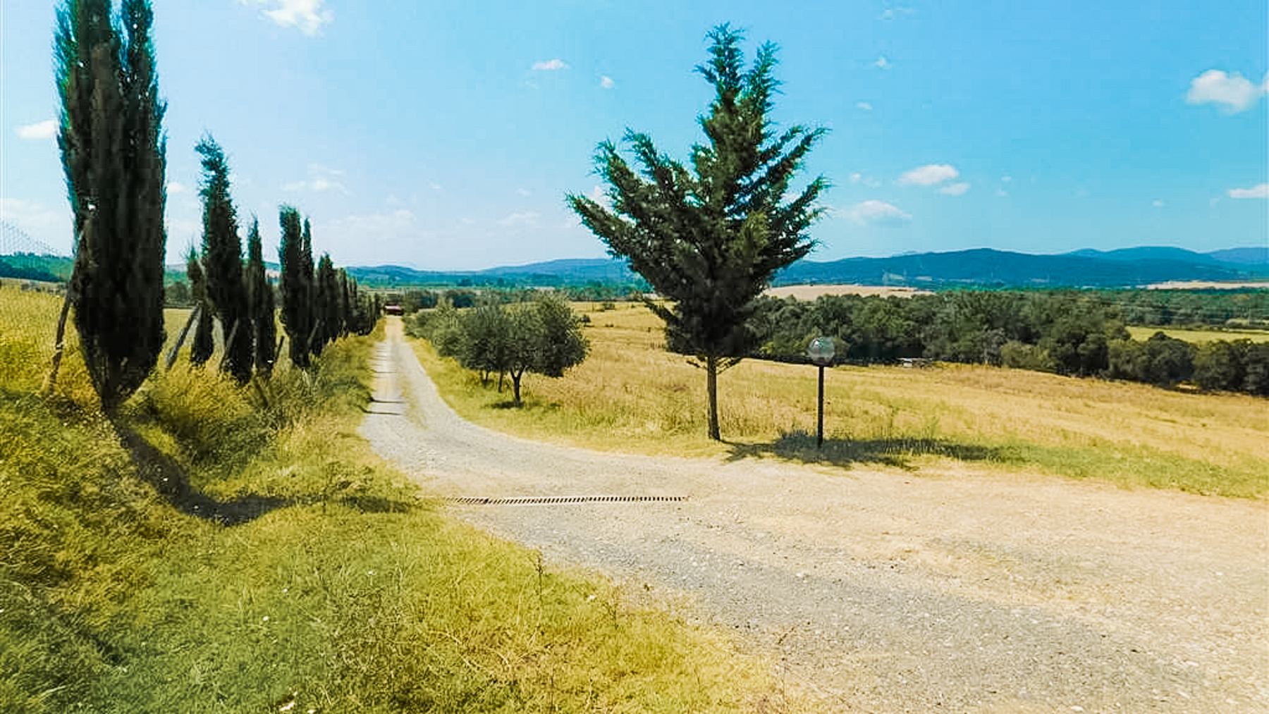 Big Image 11