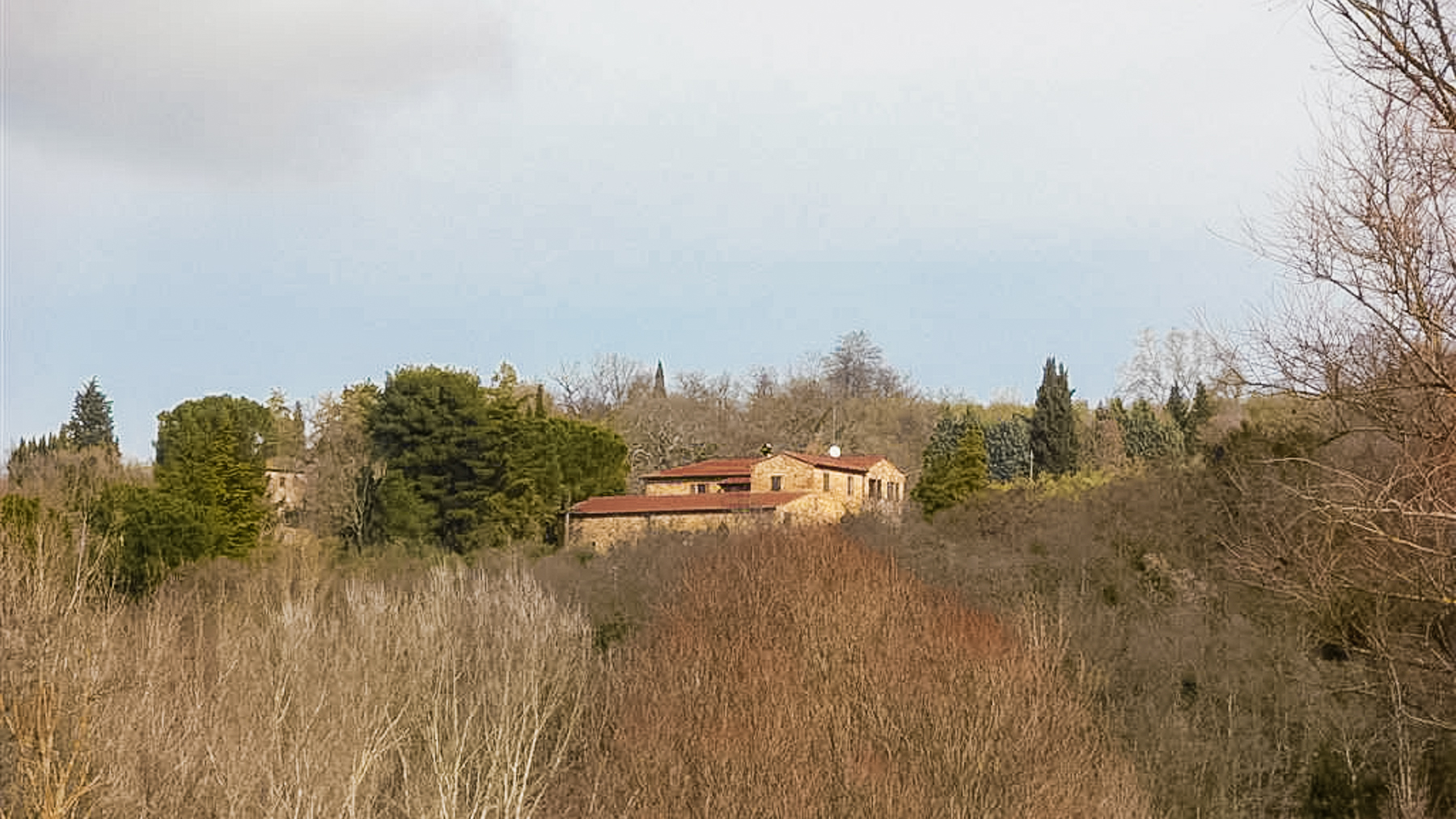 Big Image 11