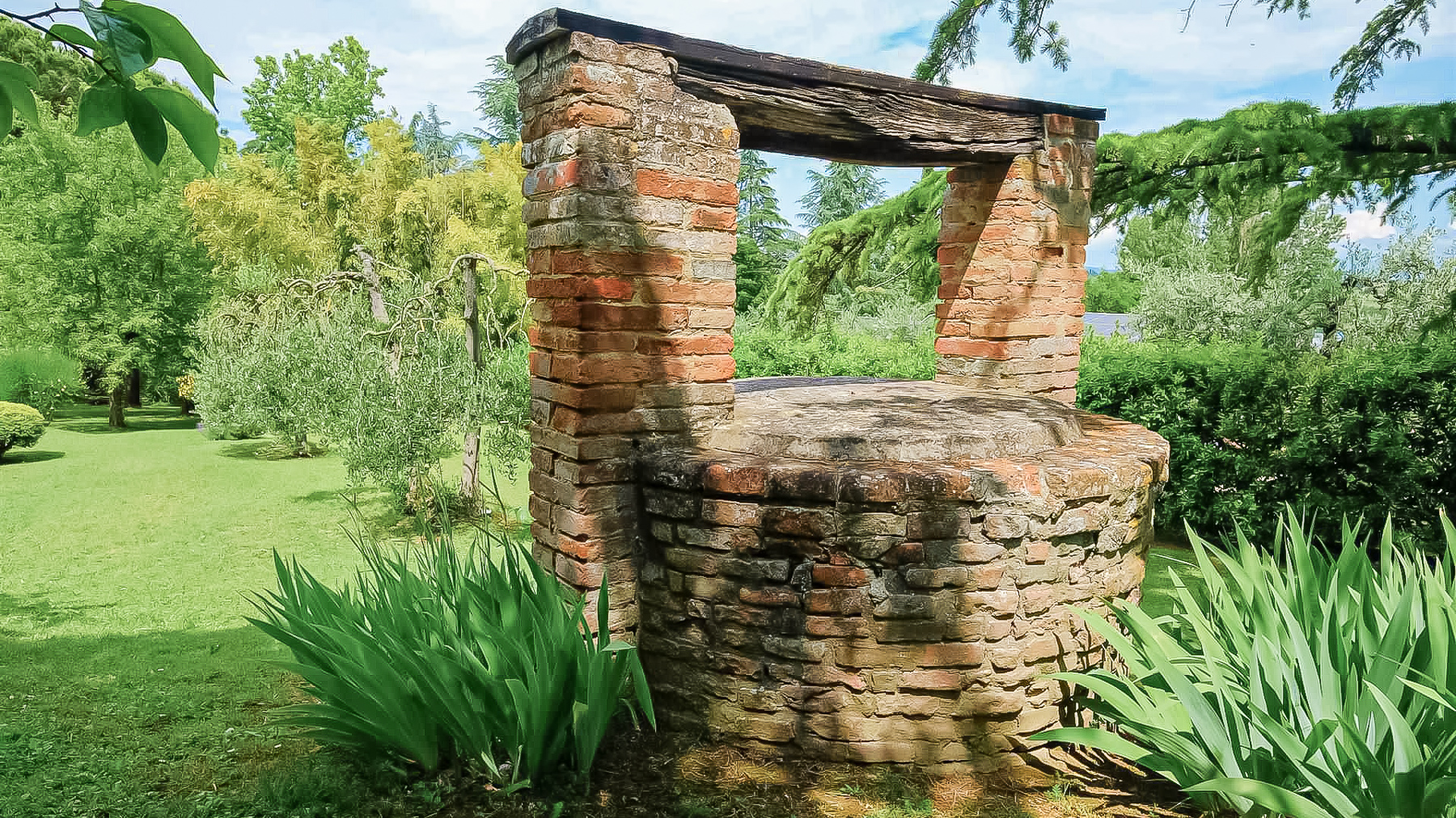 Big Image 14