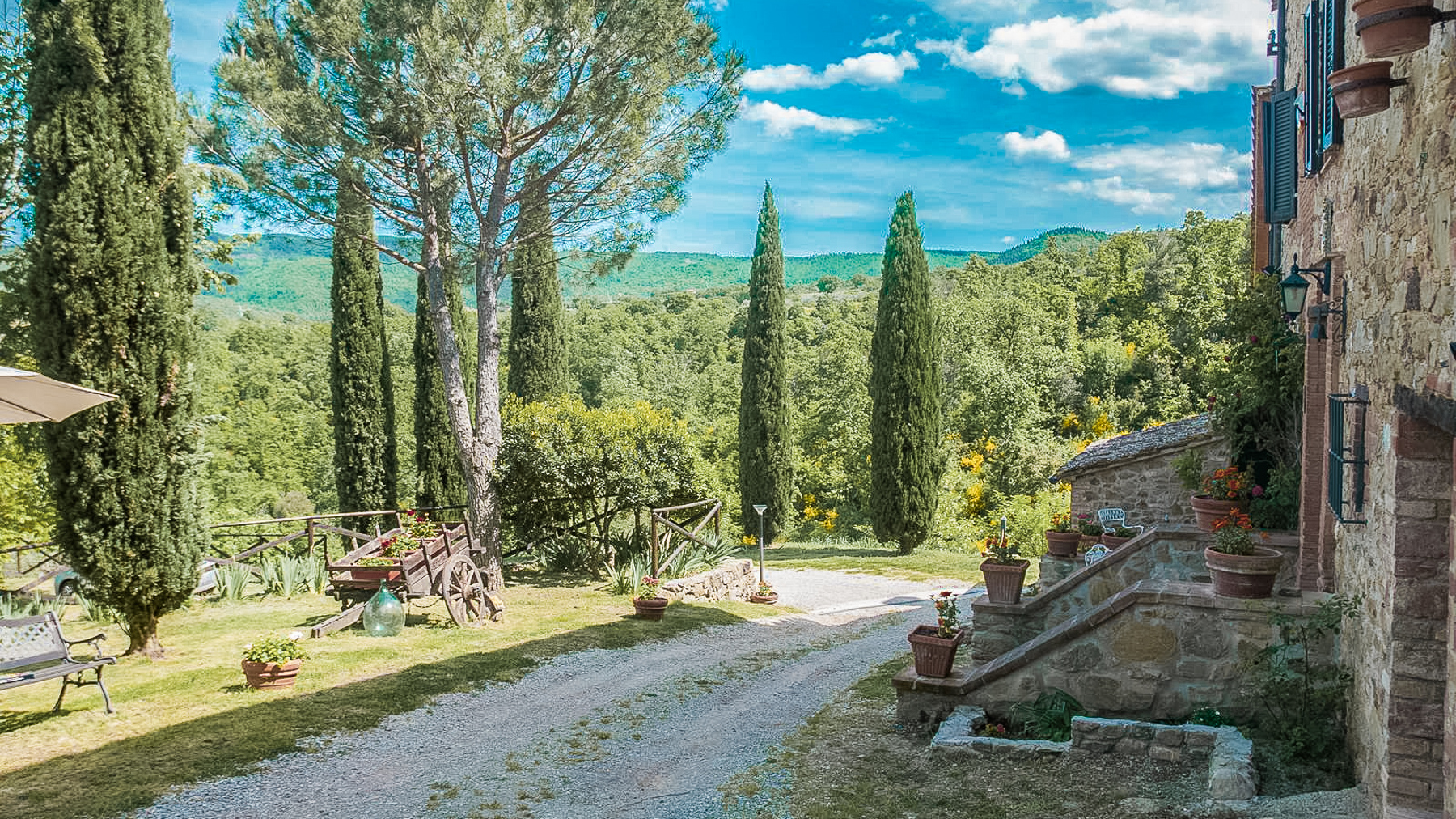 Big Image 7