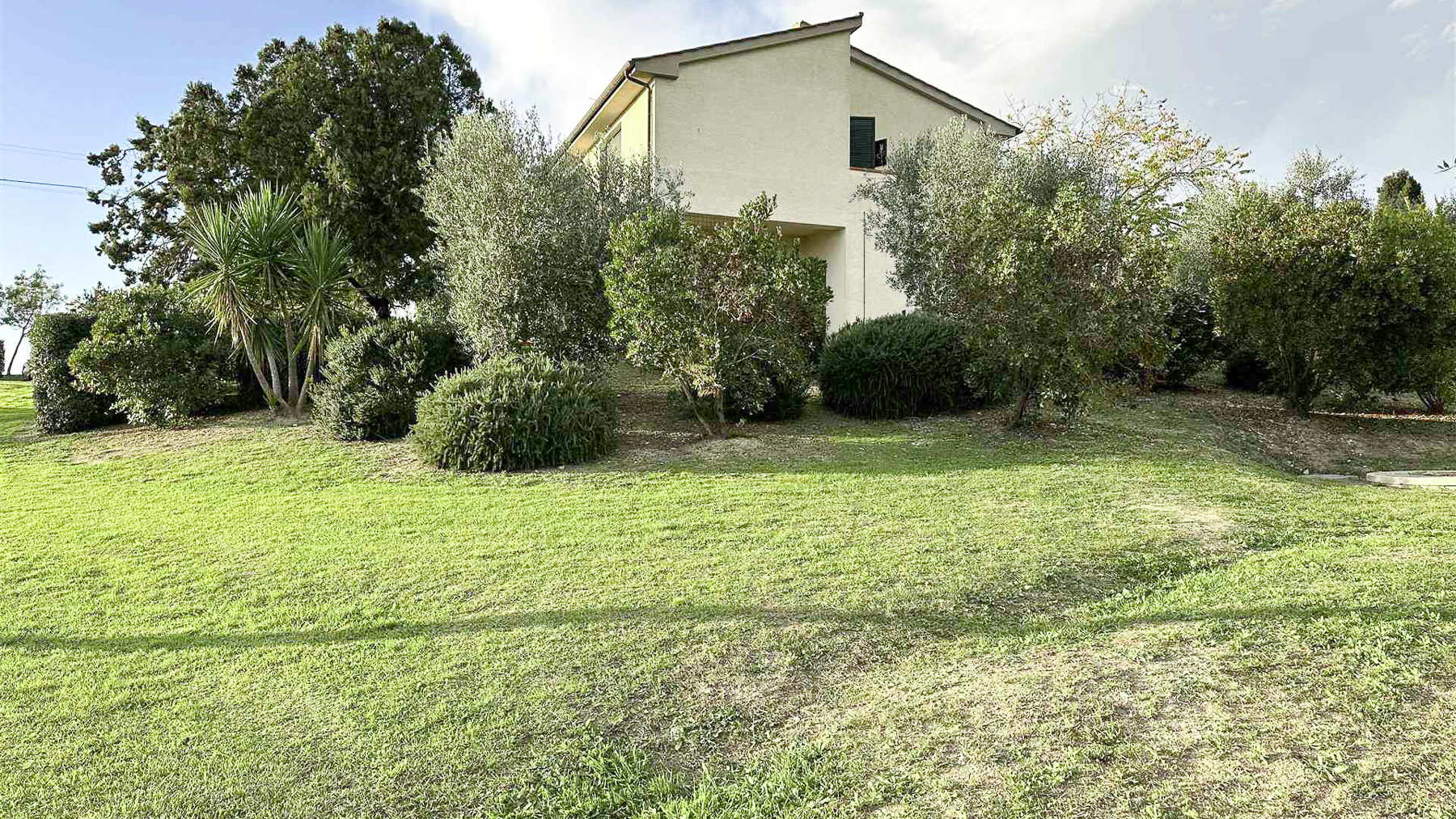 Big Image 20