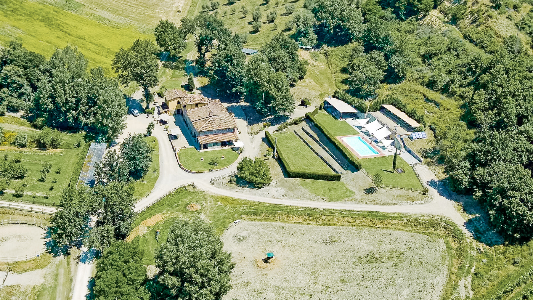 Big Image 15