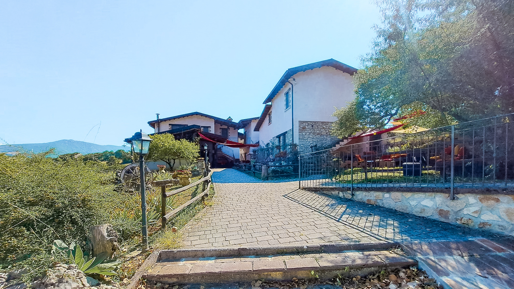 Big Image 8