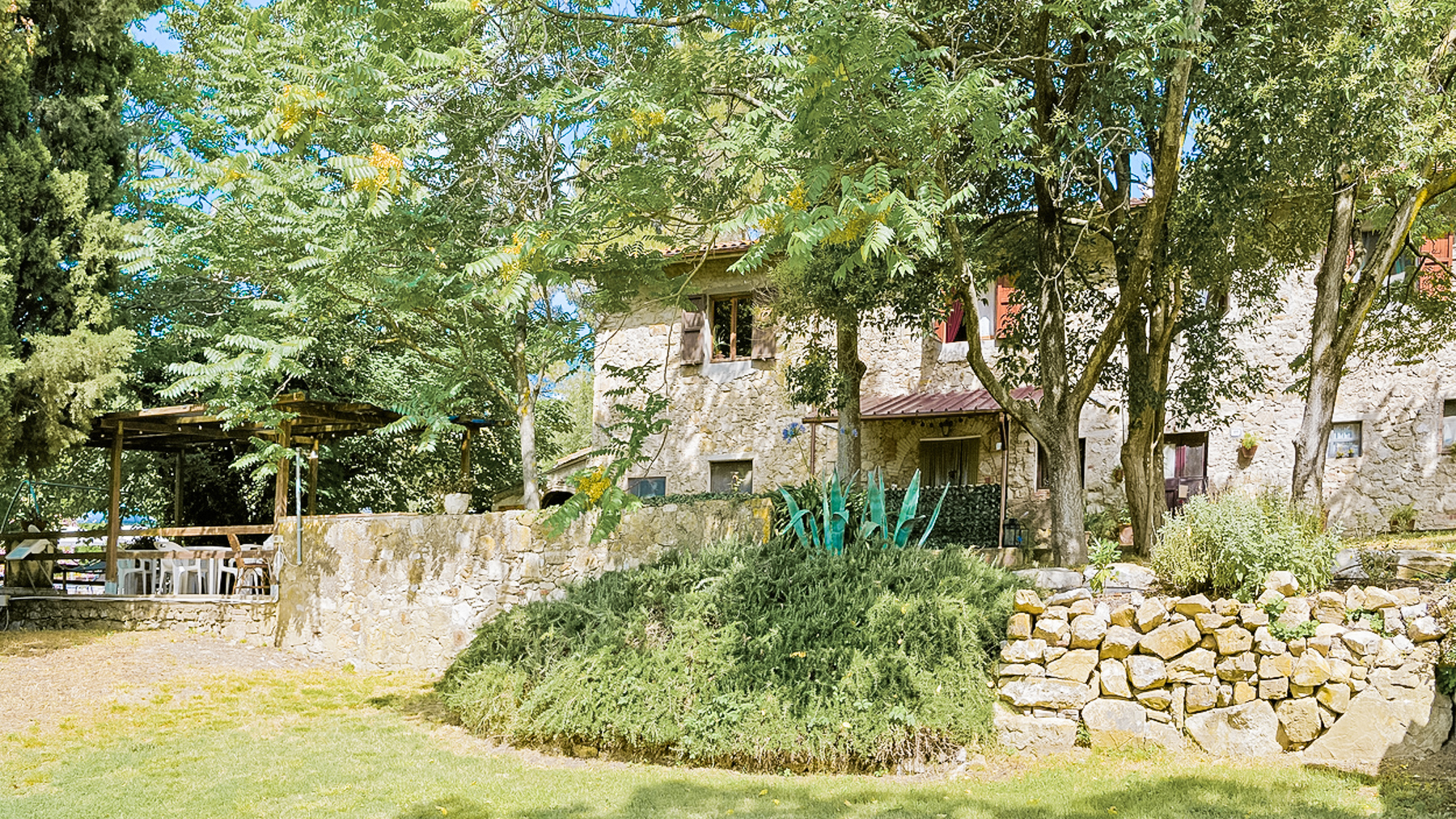Big Image 11