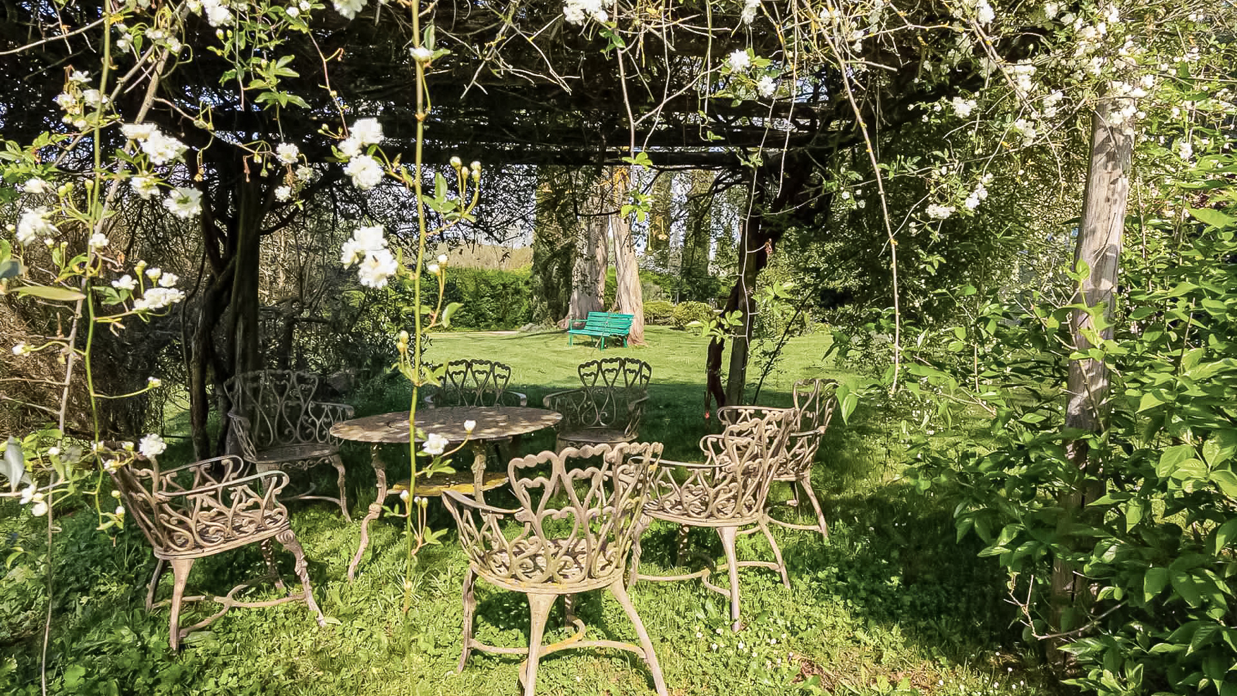 Big Image 26