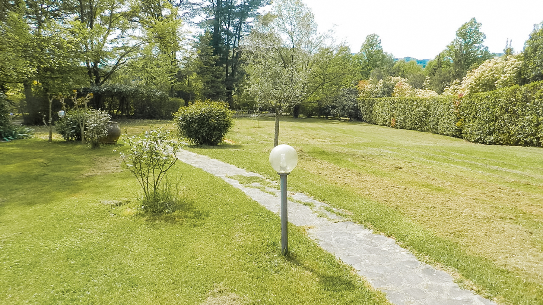 Big Image 16