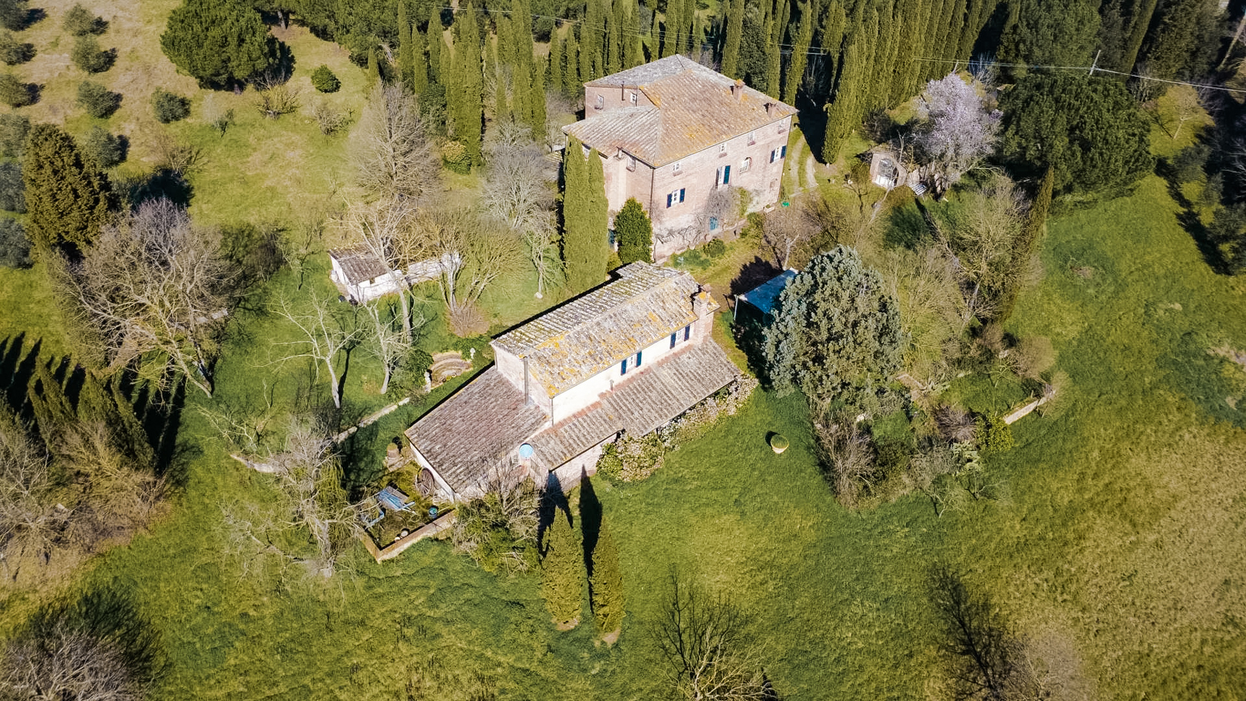 Big Image 20