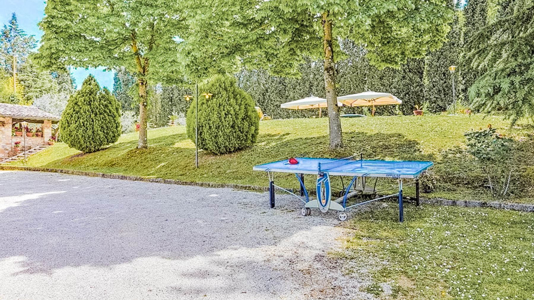 Big Image 17