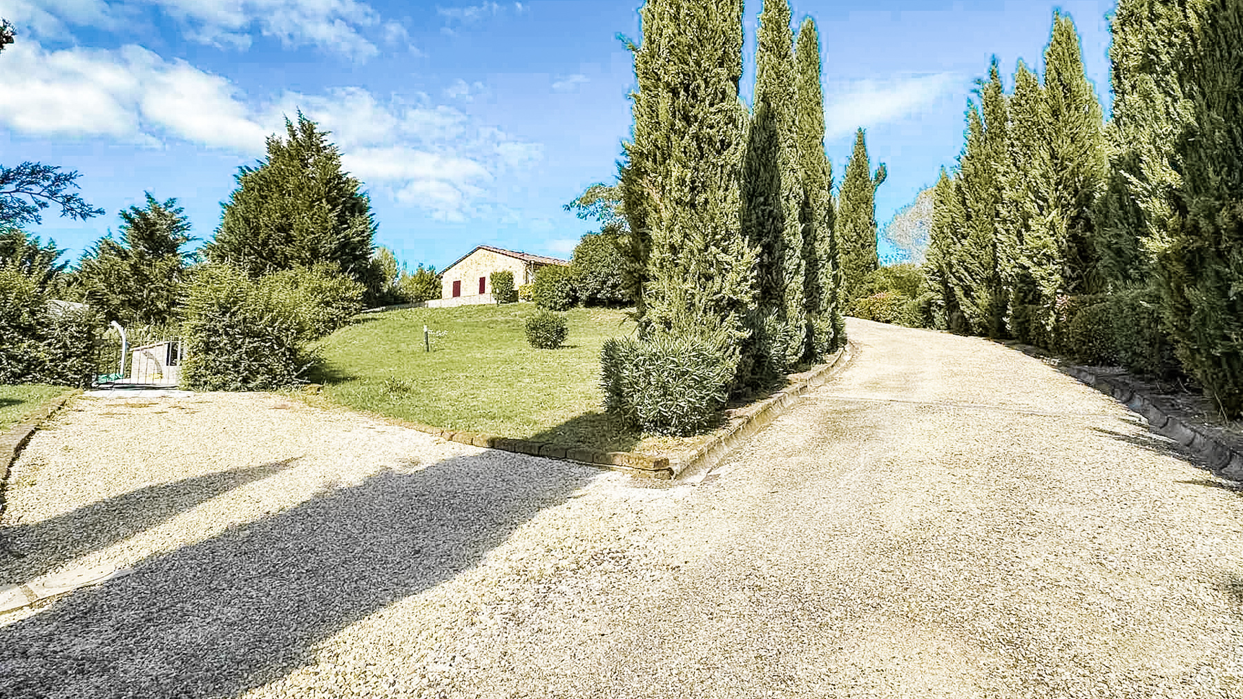 Big Image 12
