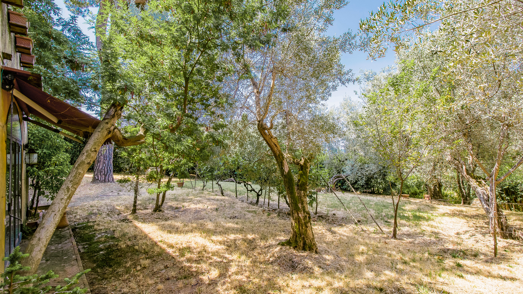 Big Image 16