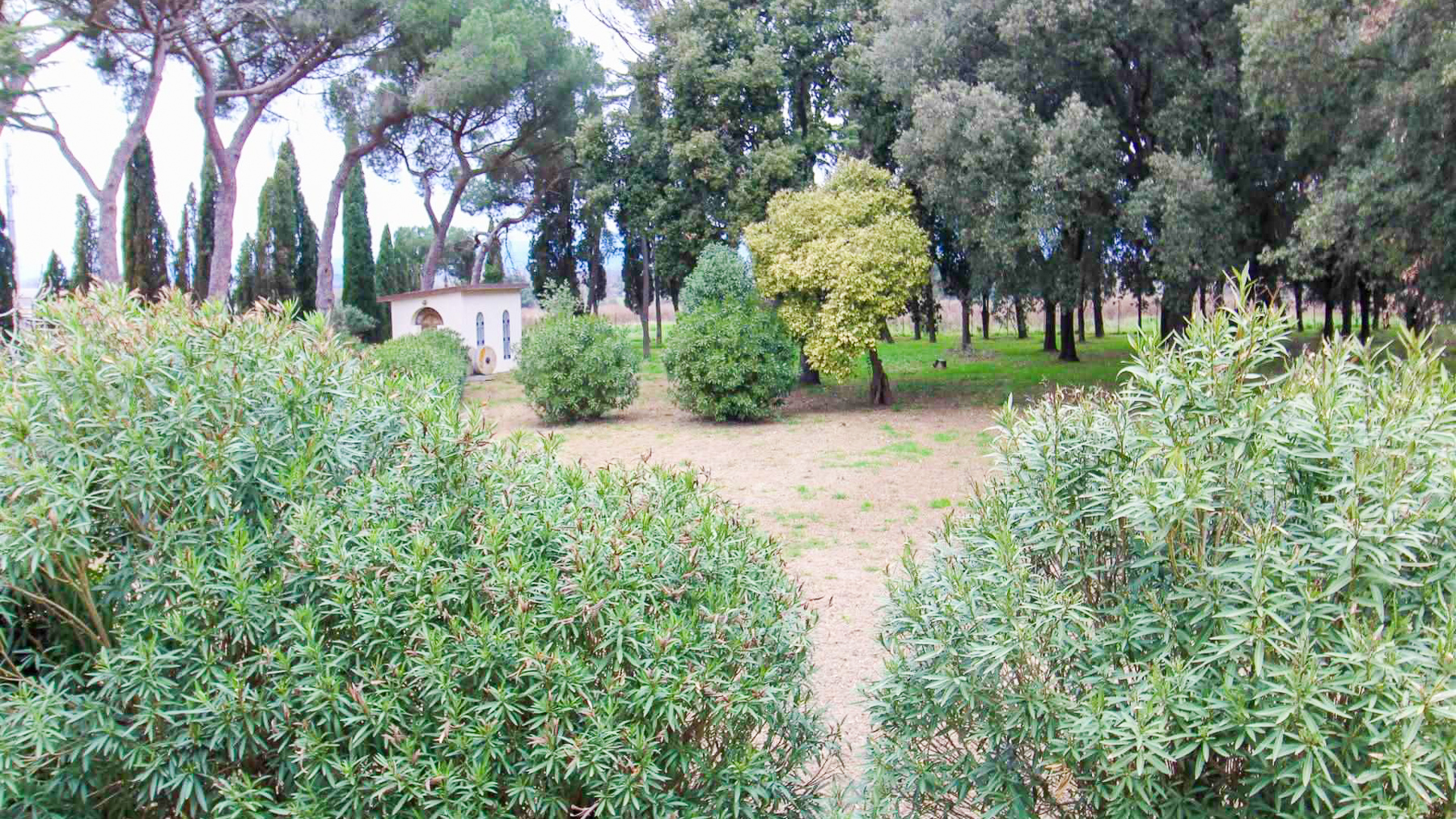 Big Image 17