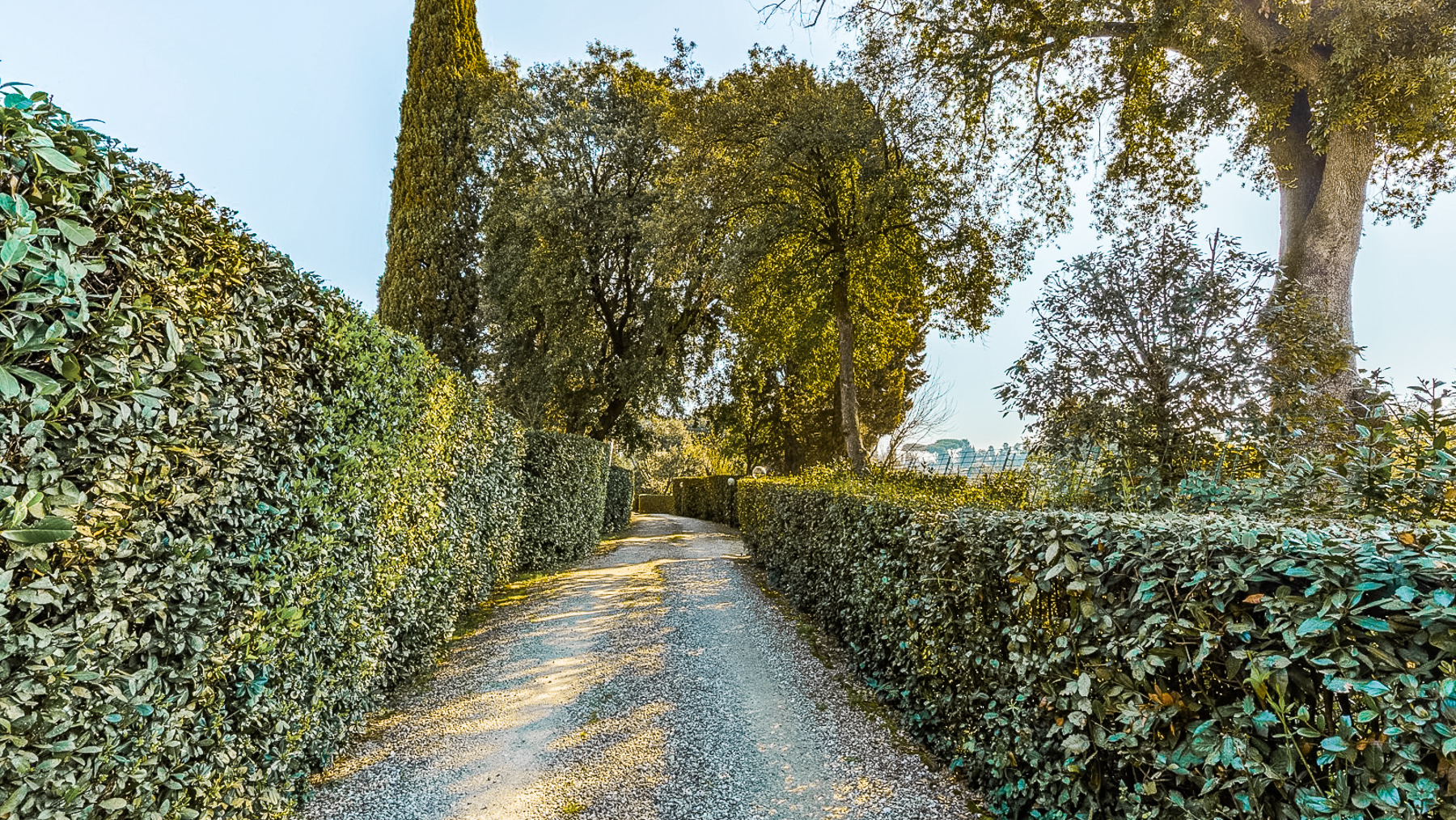 Big Image 29