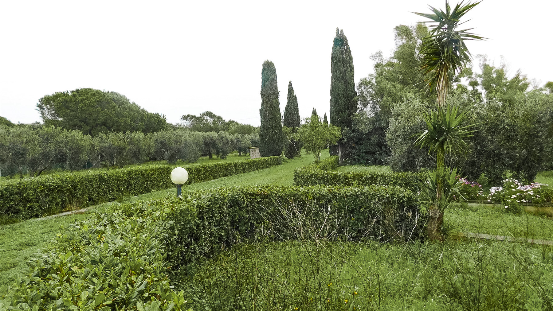 Big Image 20