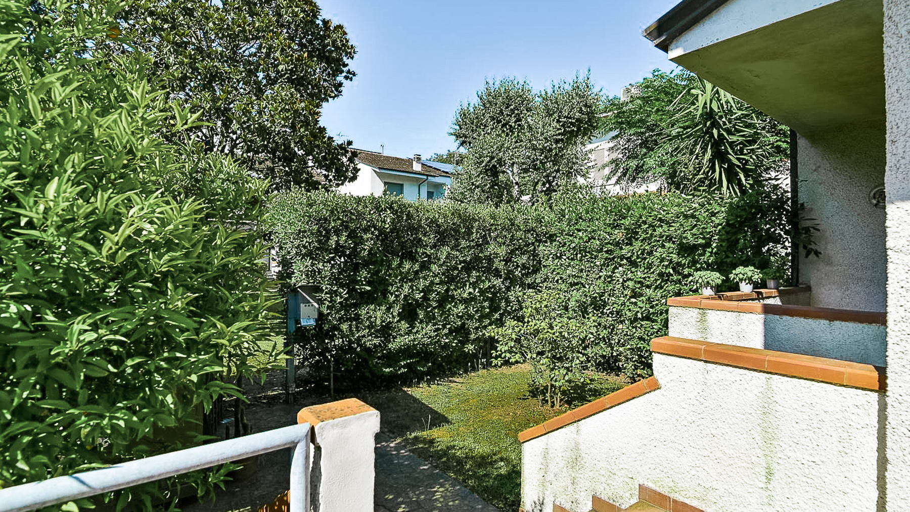 Big Image 16