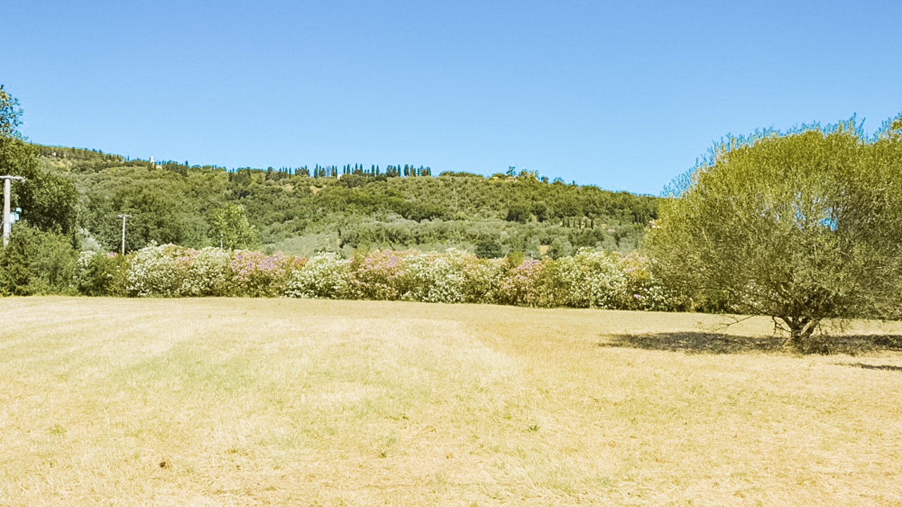 Big Image 12