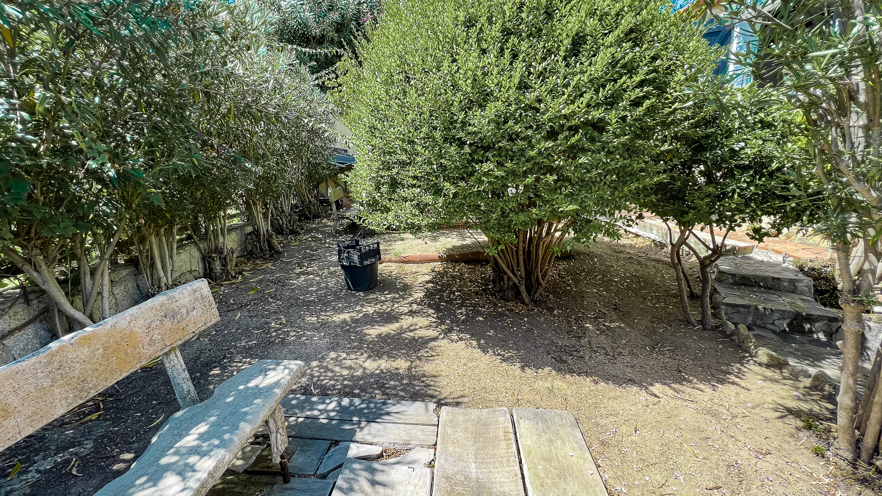 Big Image 15