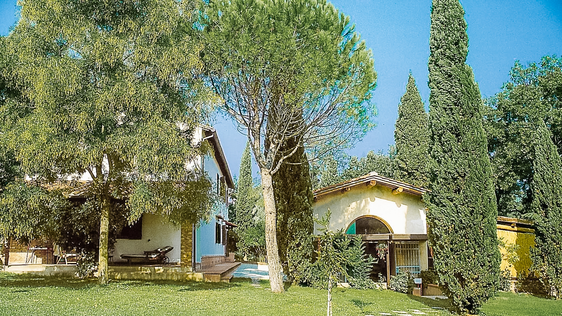 Big Image 8