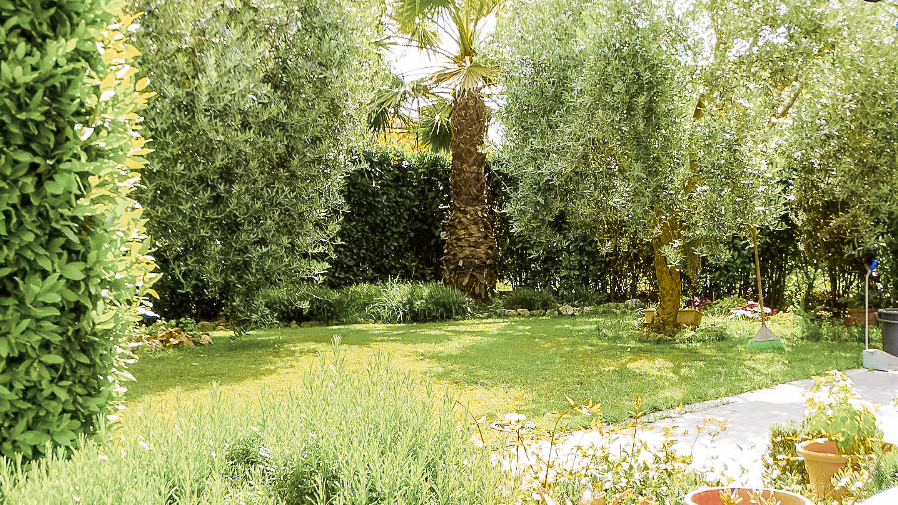 Big Image 14