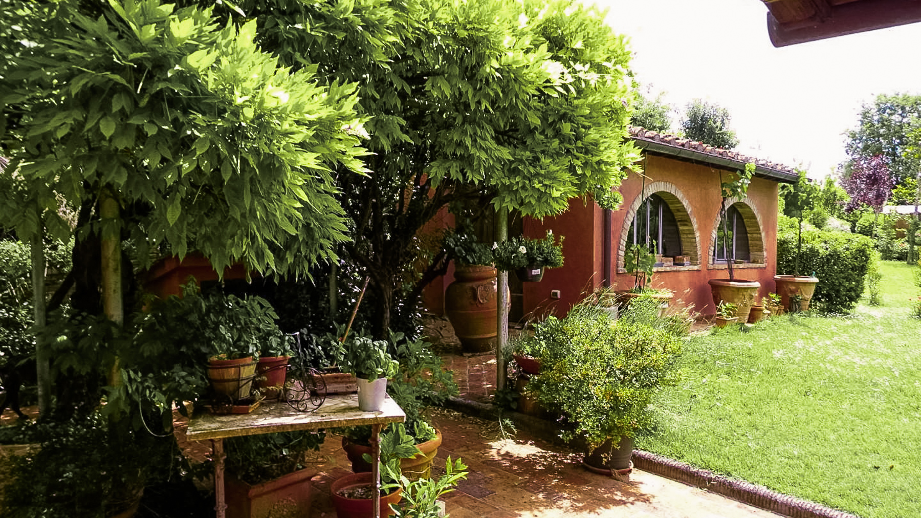 Big Image 14