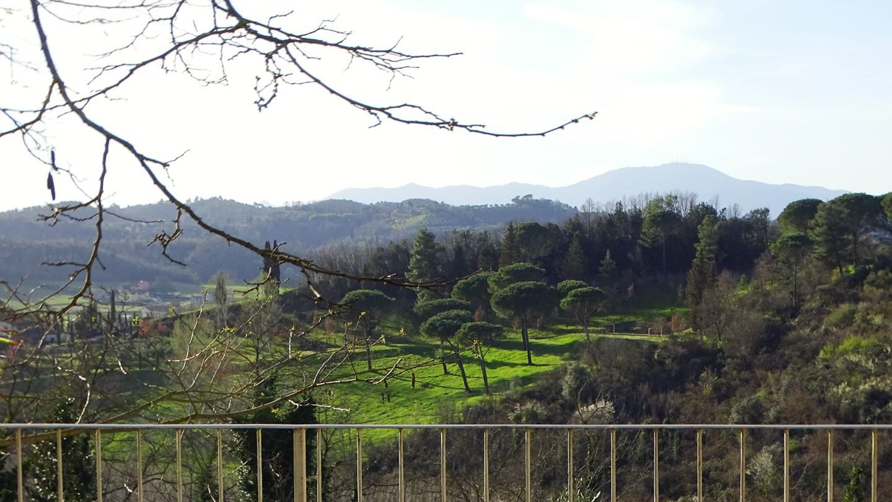 Big Image 12