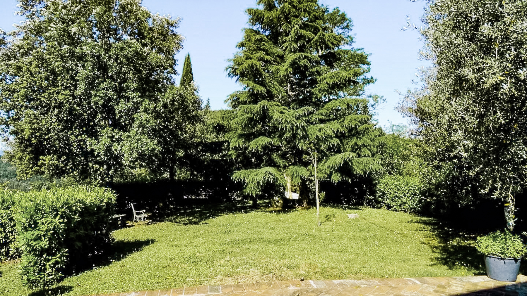 Big Image 13