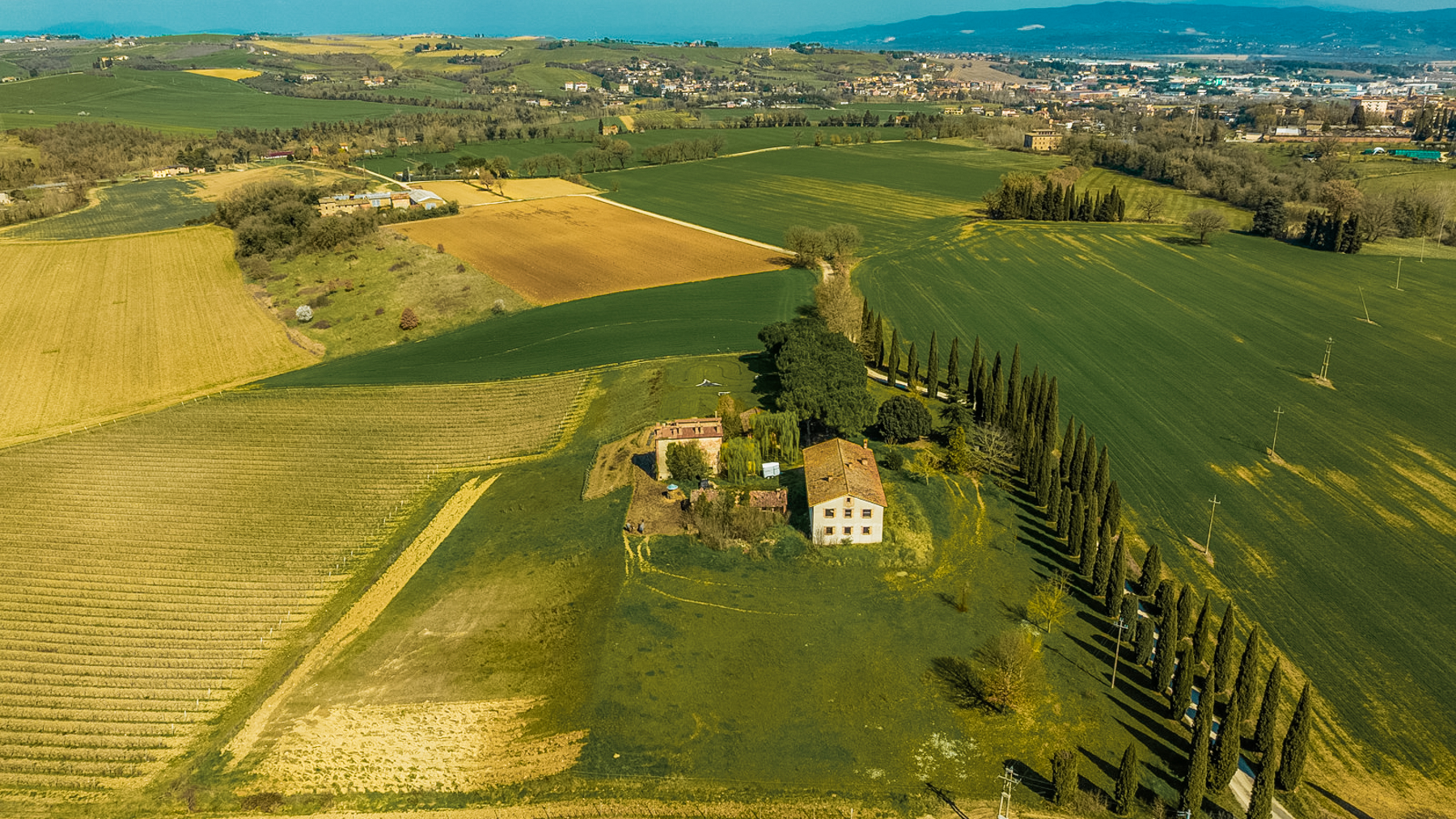 Big Image 9