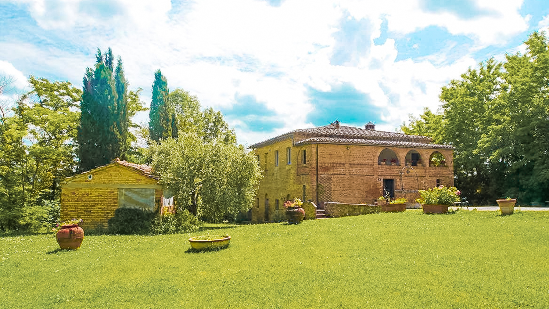 Big Image 14