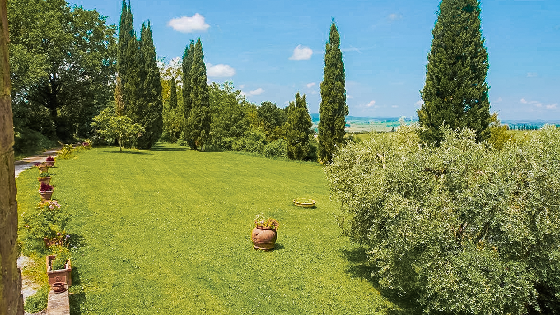 Big Image 19