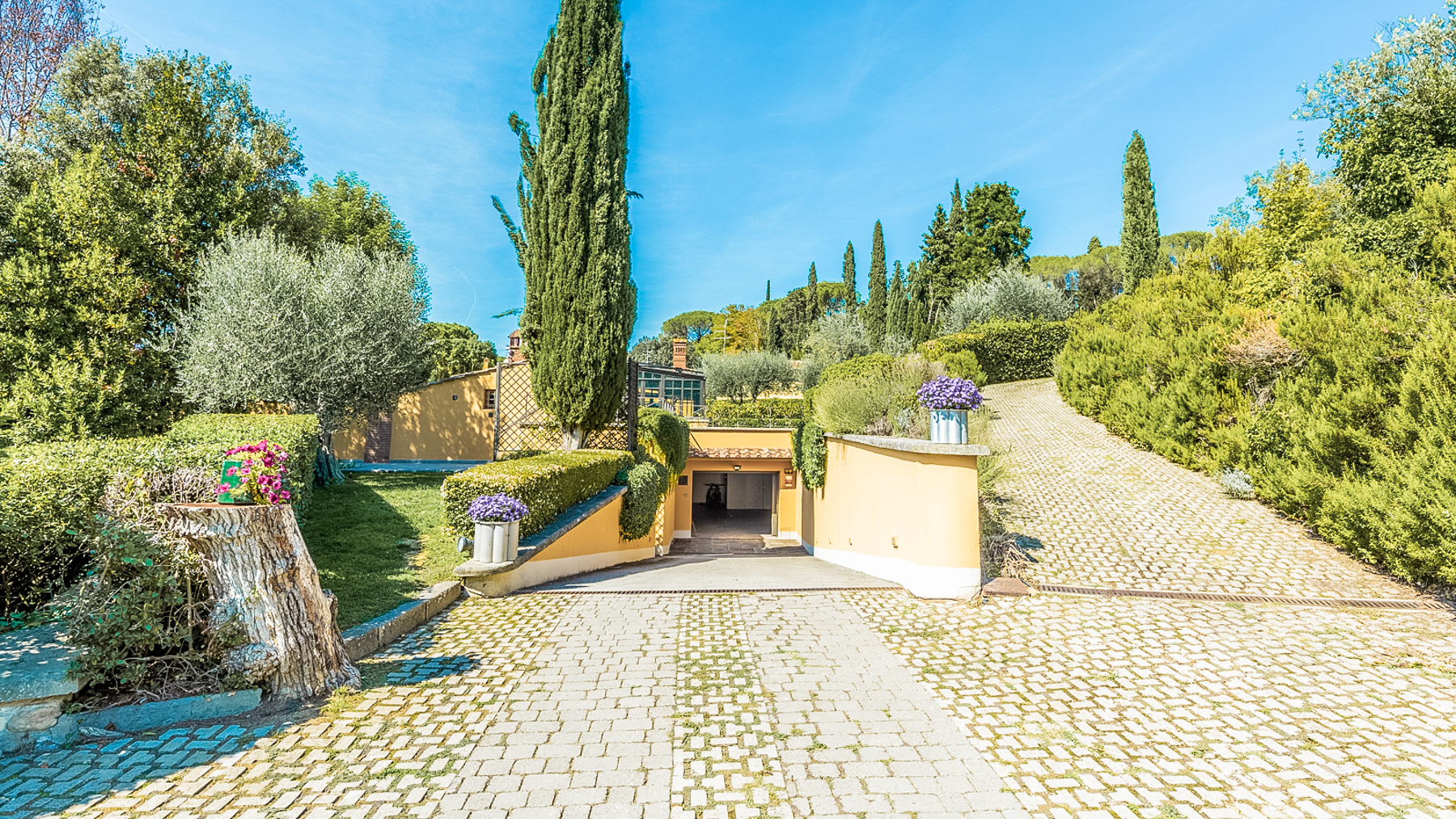 Big Image 14
