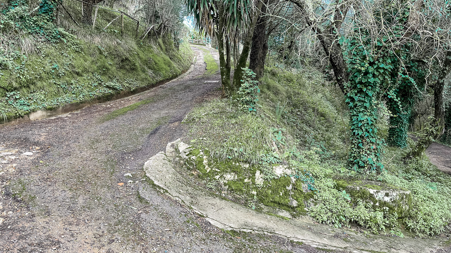 Big Image 14