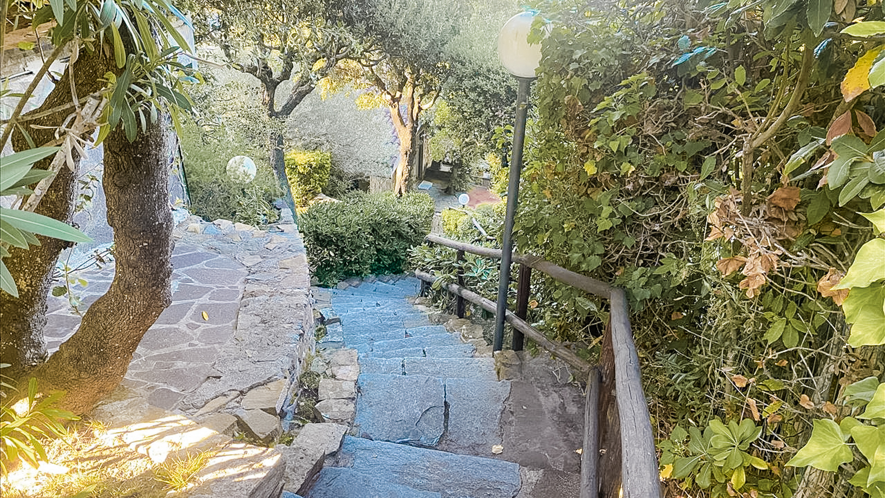 Big Image 6