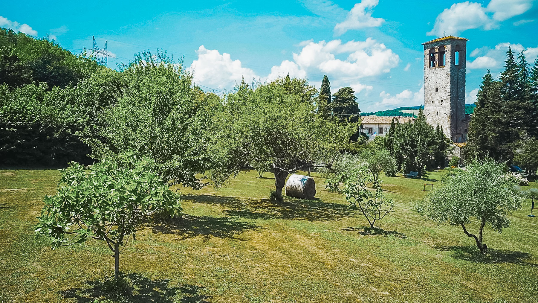 Big Image 11