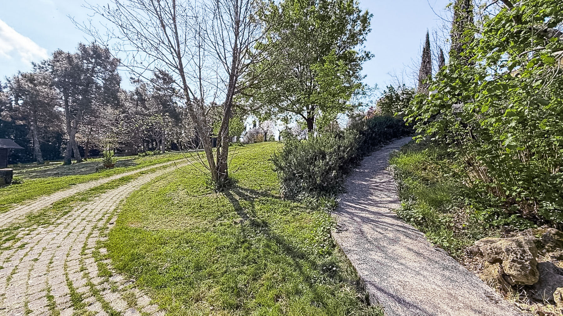 Big Image 15