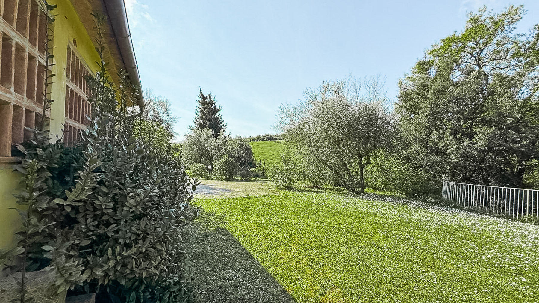 Big Image 19