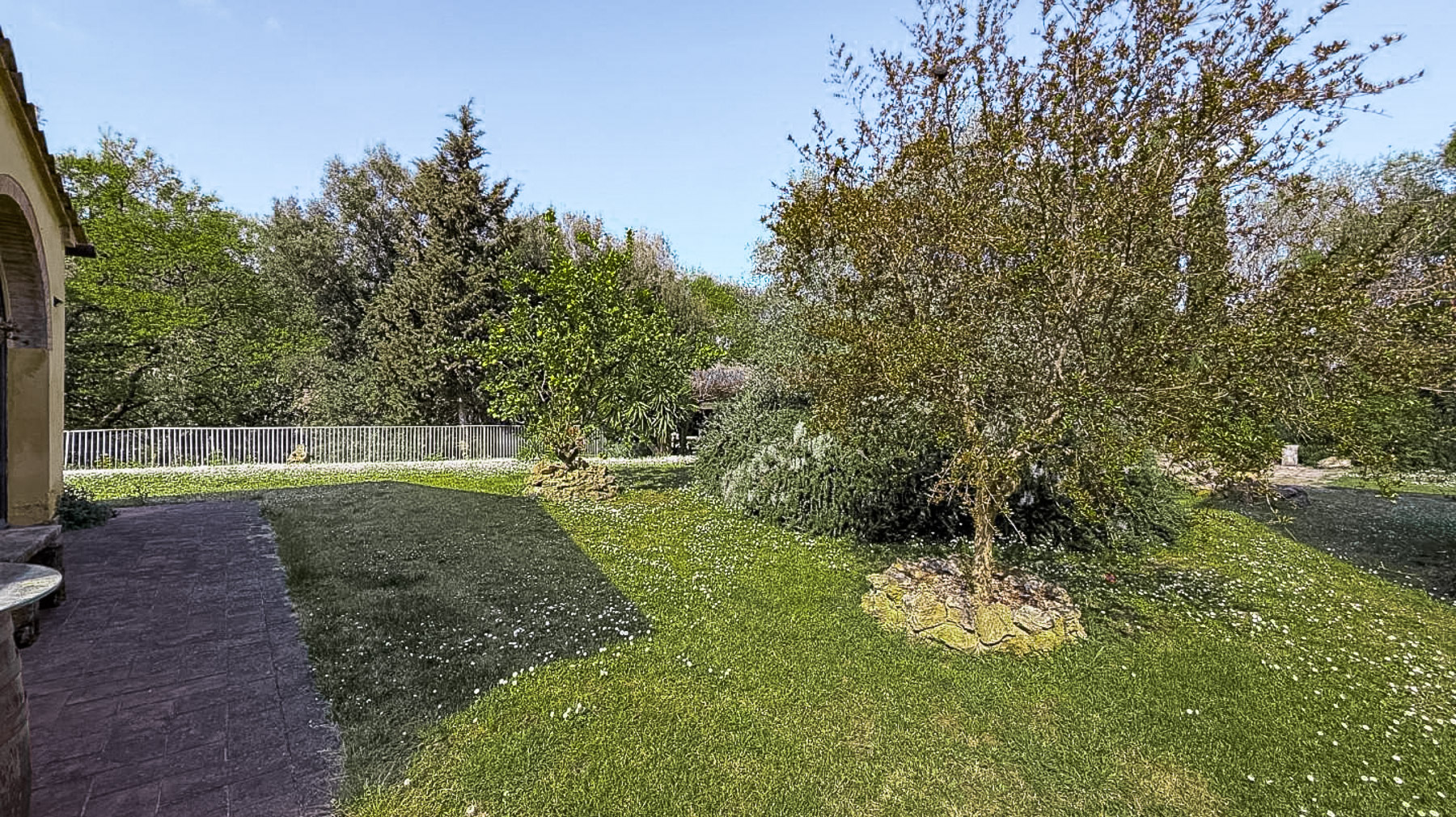 Big Image 21