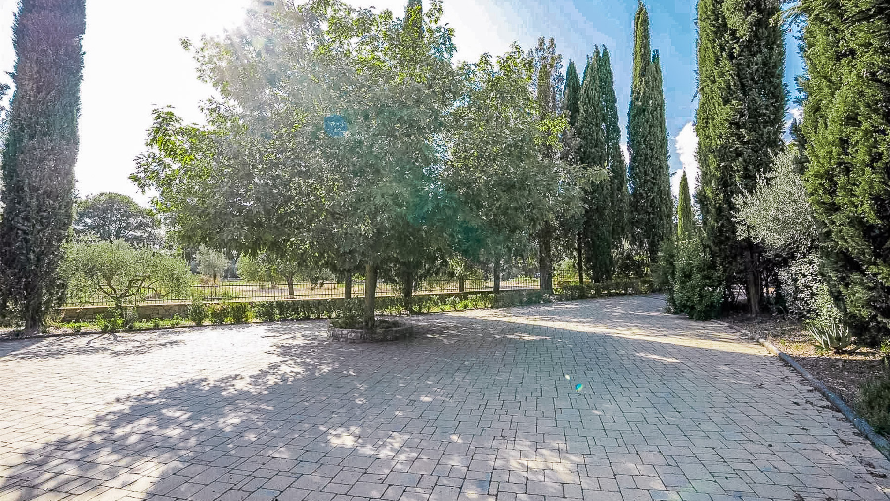 Big Image 11