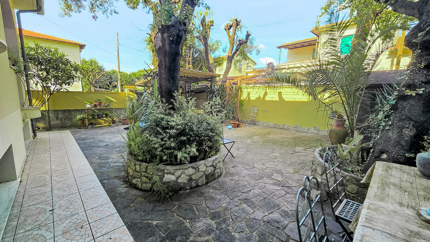 Big Image 21