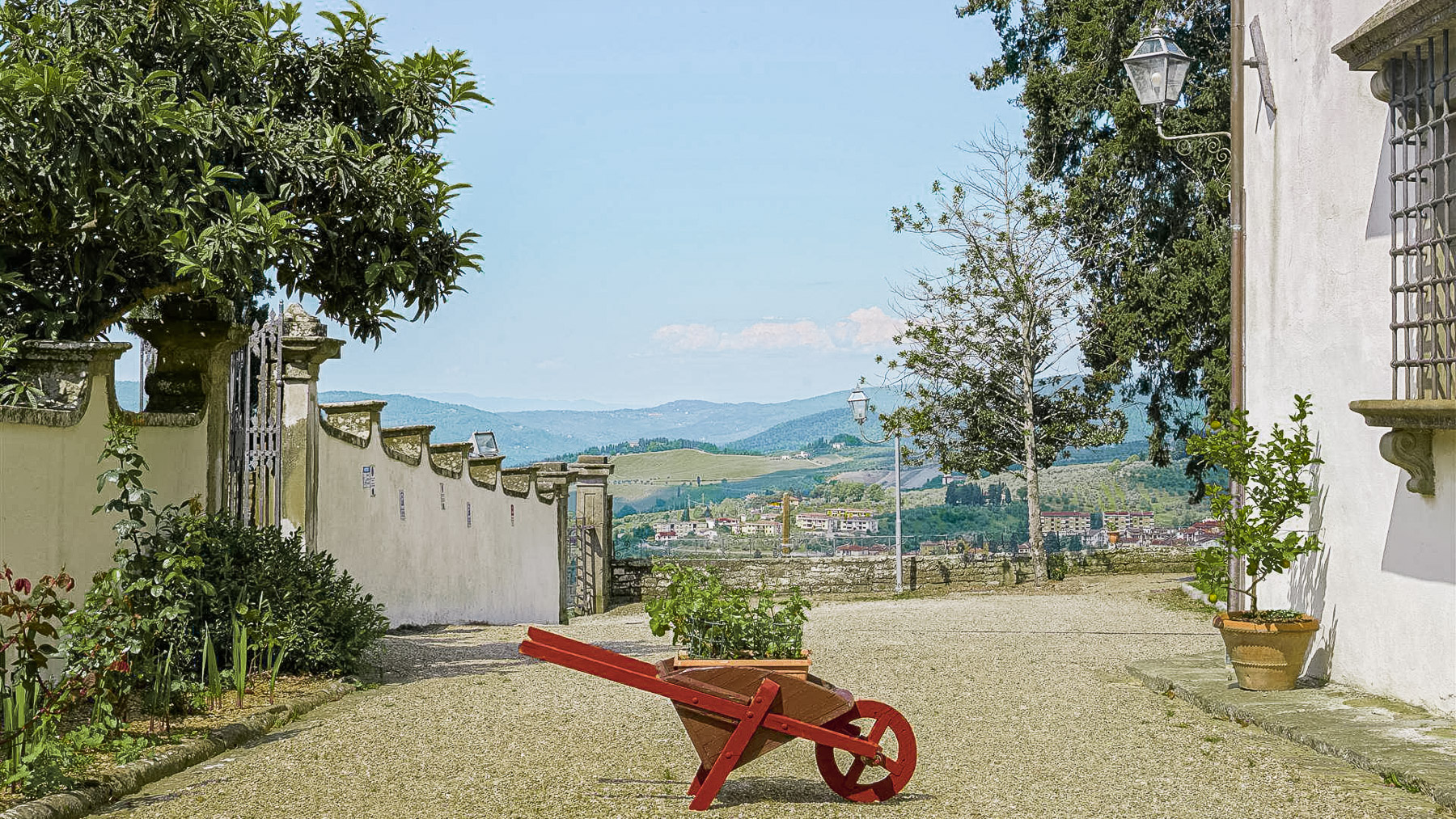 Big Image 13